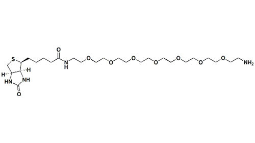 Hoher Reinheitsgrad Amino-KLAMMER Biotin - KLAMMER 8 - Amin mit Cas 1334172-76-7 MW 594,76